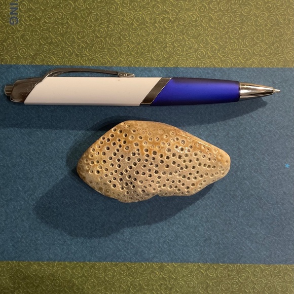 Jewelry - Natural coral stone